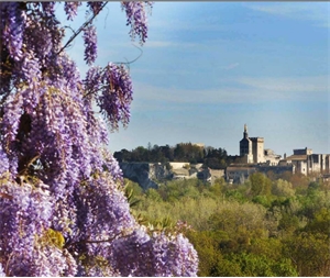 appartement en frais reduits à la vente -   30400  VILLENEUVE LES AVIGNON, surface 65 m2 vente appartement en frais reduits - LPI3106306